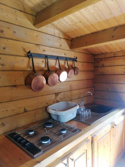 Chalet En Pleine Nature Au Bord D'Un Etang Lanvallay Экстерьер фото