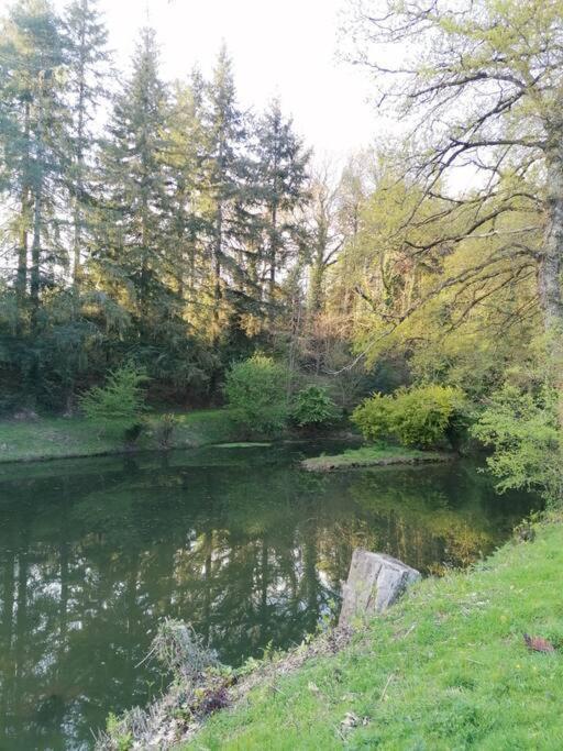 Chalet En Pleine Nature Au Bord D'Un Etang Lanvallay Экстерьер фото