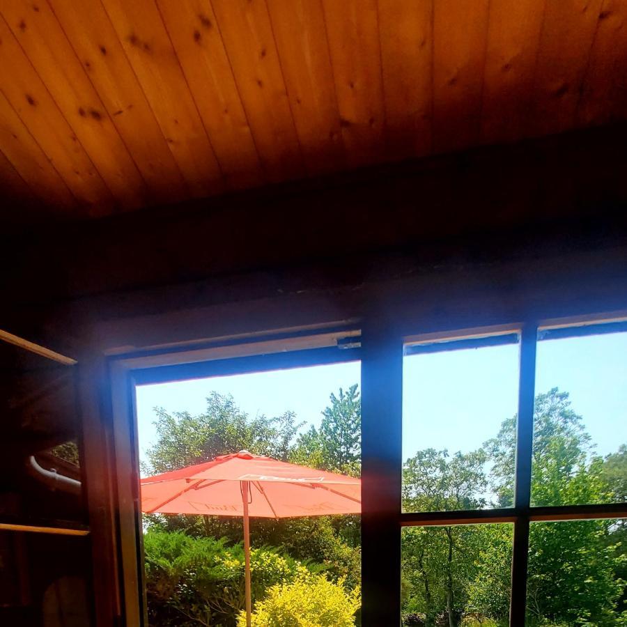 Chalet En Pleine Nature Au Bord D'Un Etang Lanvallay Экстерьер фото